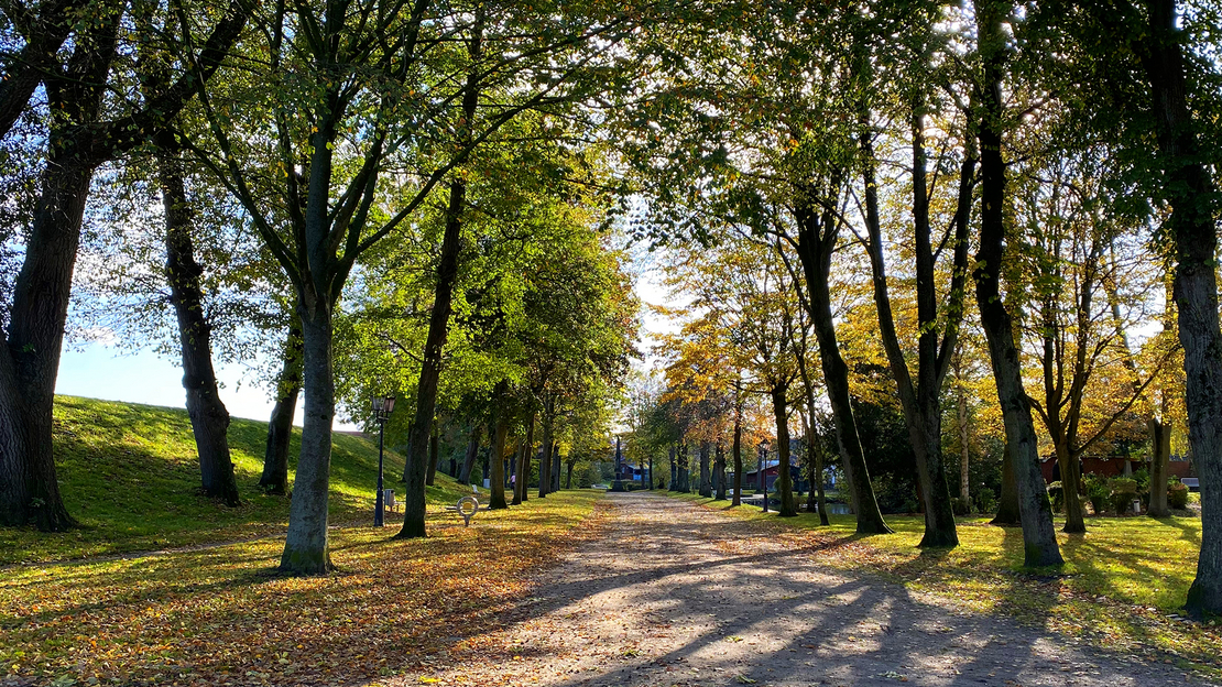 Sandweg im Tönninger Schlosspark bei Herbst mit Laub