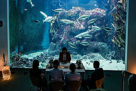 Traubereich mit Stühlen im Multimar vor dem Aquarium