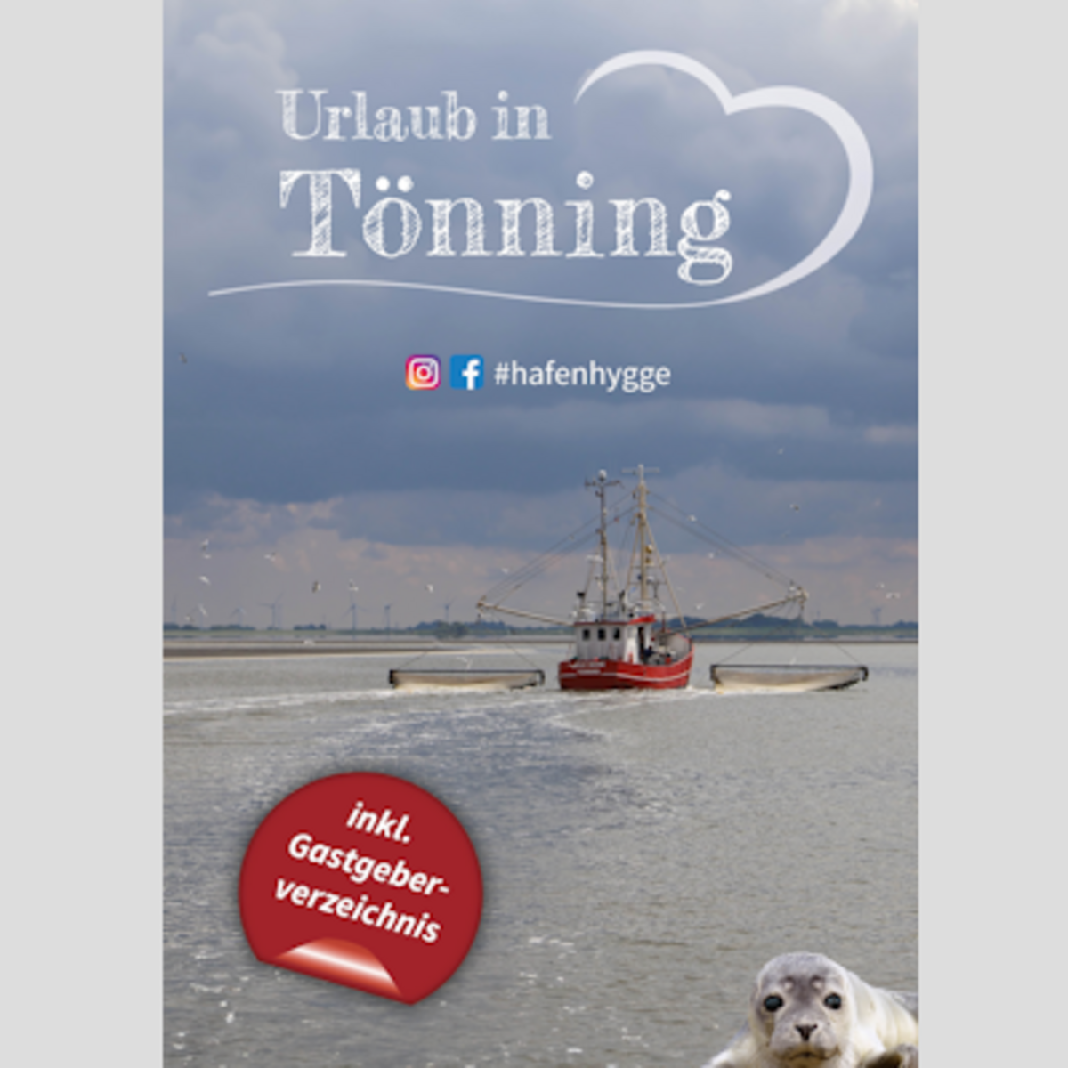 Deckblatt des Flyers Urlaub in Tönning mit Tönning-Motiv